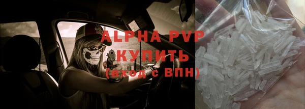шишки Осинники