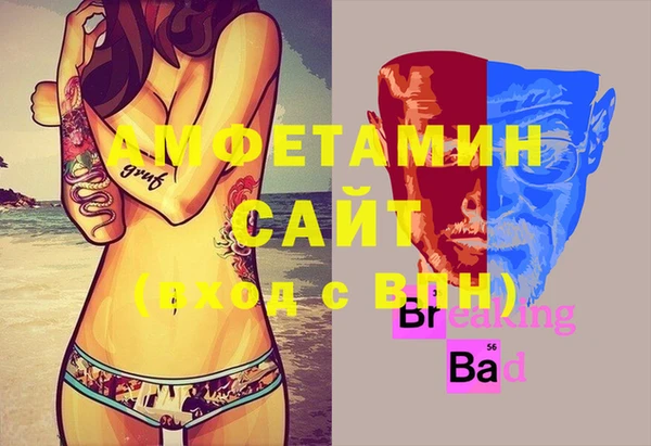 шишки Осинники