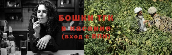 стаф Ряжск