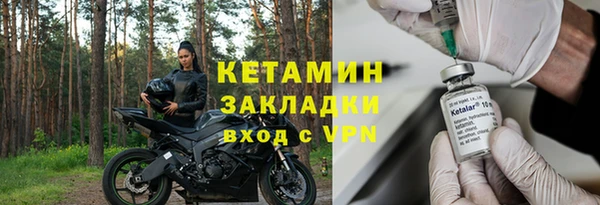 шишки Осинники
