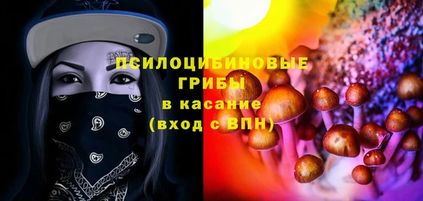 шишки Осинники
