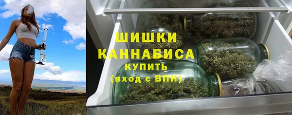 Альфа ПВП Аркадак