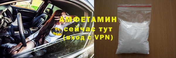 шишки Осинники