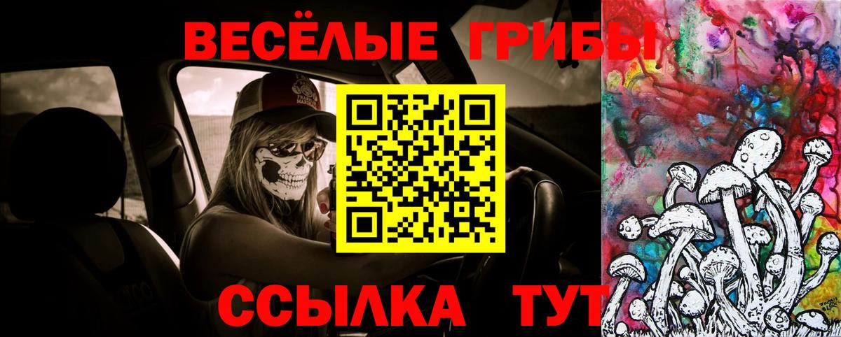 Галлюциногенные грибы мухоморы Новомосковск